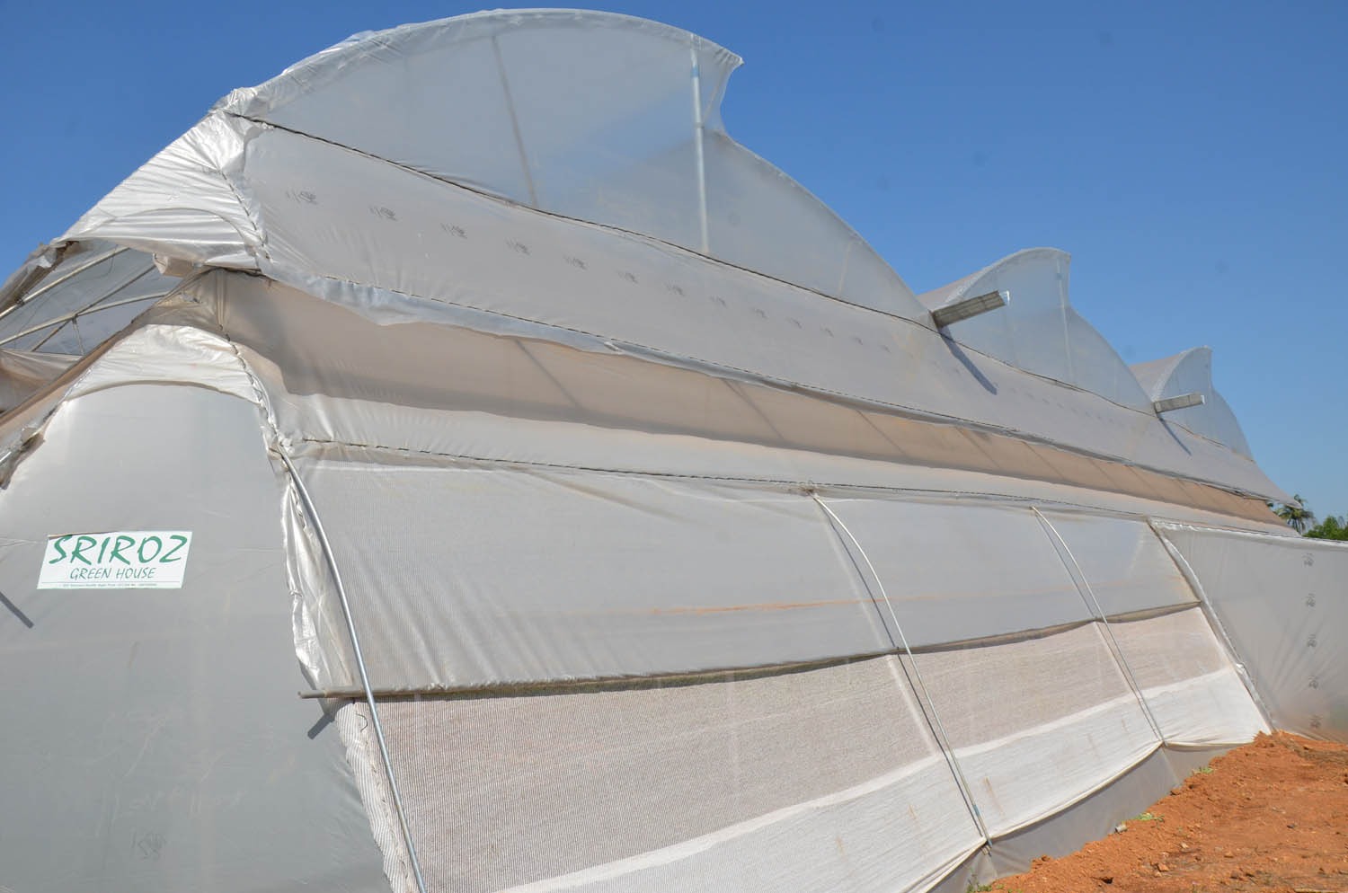 Greenhouse Project 27